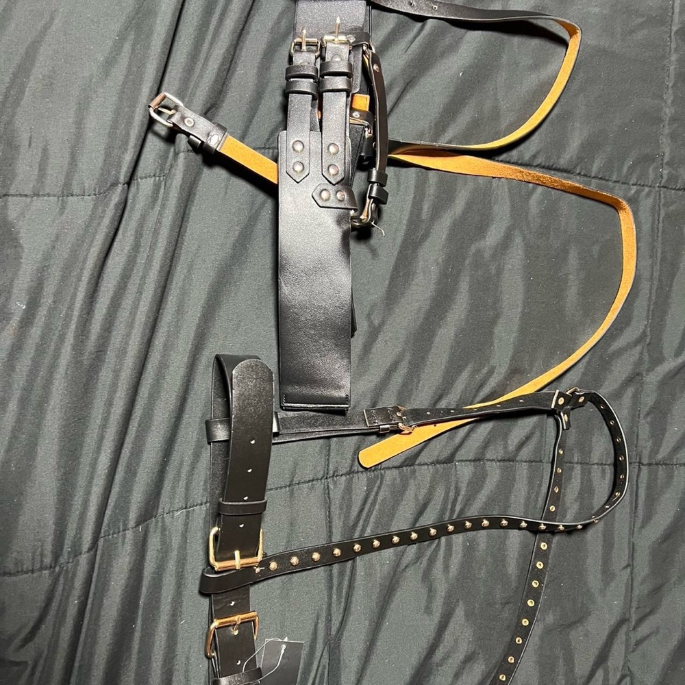 Harnesses